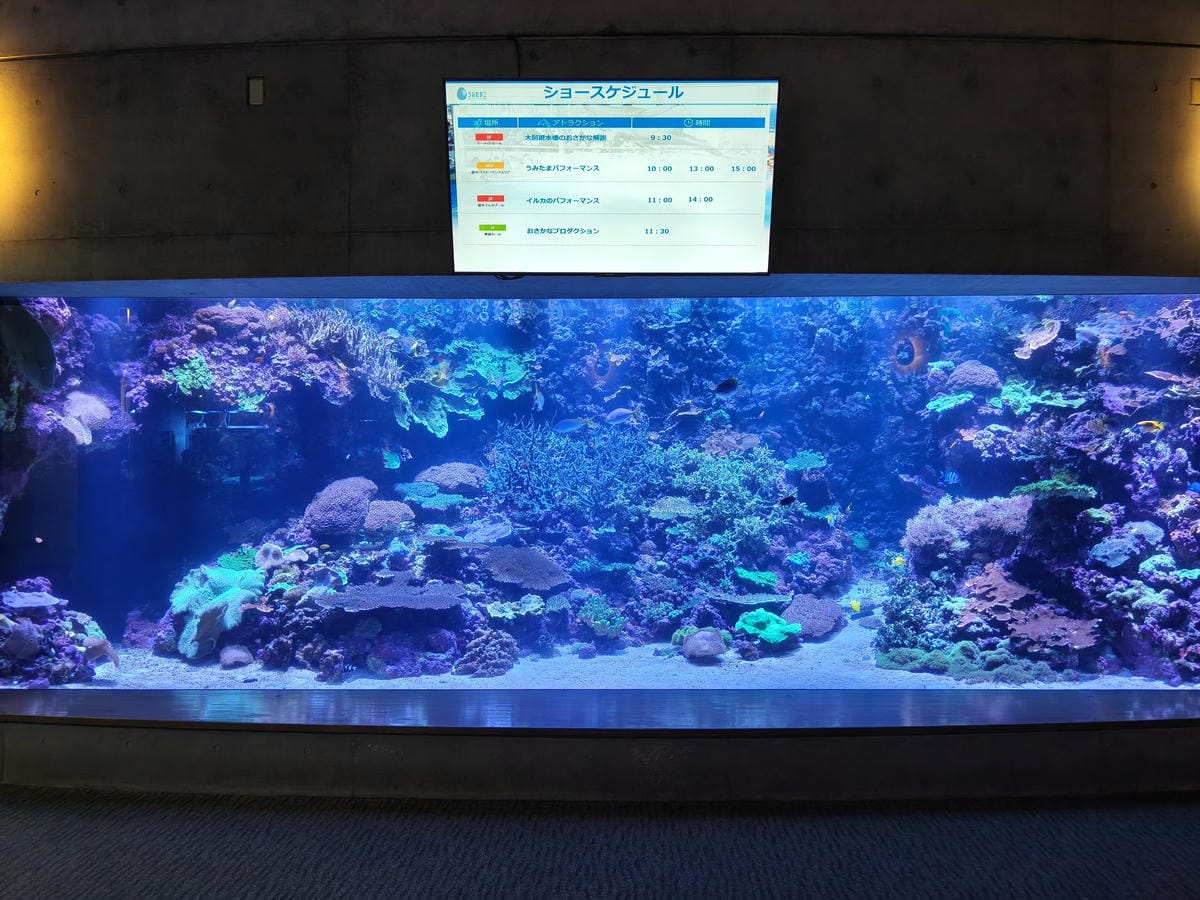 (大分旅遊)大分海洋宮殿水族館 海之卵,和動物們成為好朋友為 (大分旅遊)大分海洋宮殿水族館 海之卵,和動物們成為好朋友為