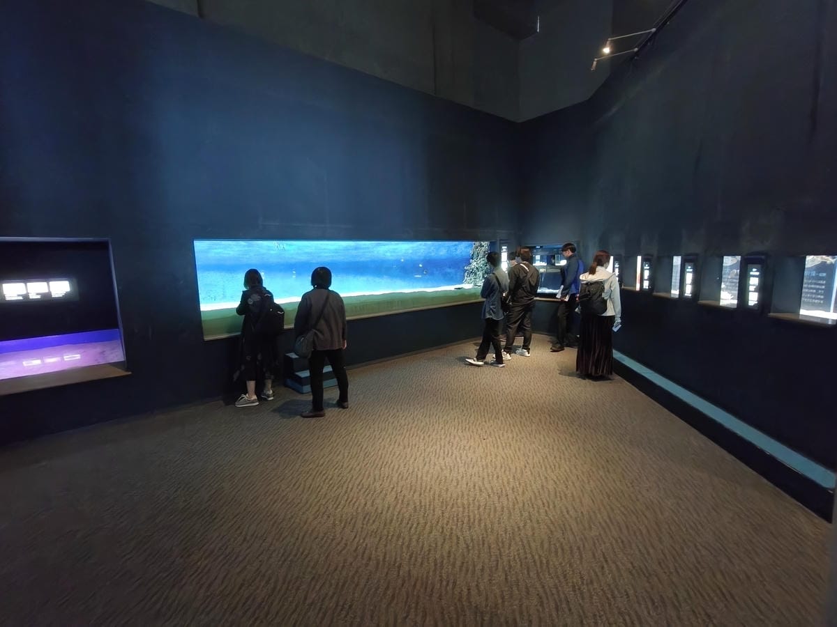 (大分旅遊)大分海洋宮殿水族館 海之卵,和動物們成為好朋友為 (大分旅遊)大分海洋宮殿水族館 海之卵,和動物們成為好朋友為