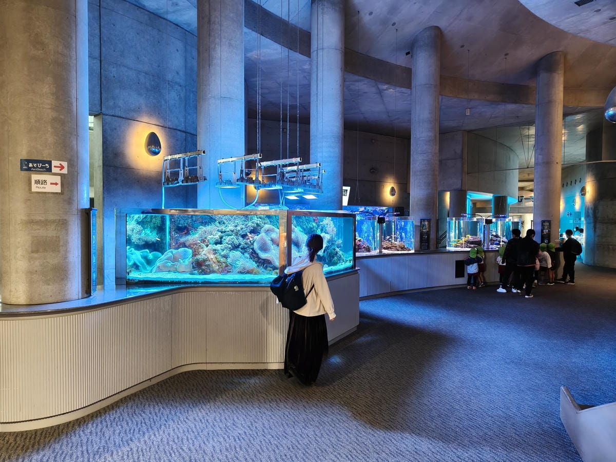 (大分旅遊)大分海洋宮殿水族館 海之卵,和動物們成為好朋友為 (大分旅遊)大分海洋宮殿水族館 海之卵,和動物們成為好朋友為