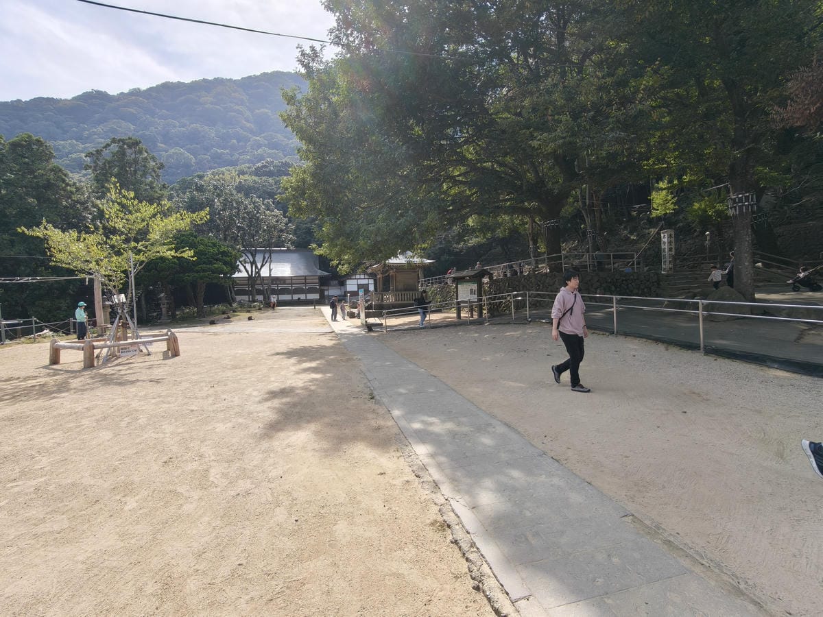 (大分旅遊)高崎山自然動物園,八百多隻的猴子就在你身旁, (大分旅遊)高崎山自然動物園,八百多隻的猴子就在你身旁,