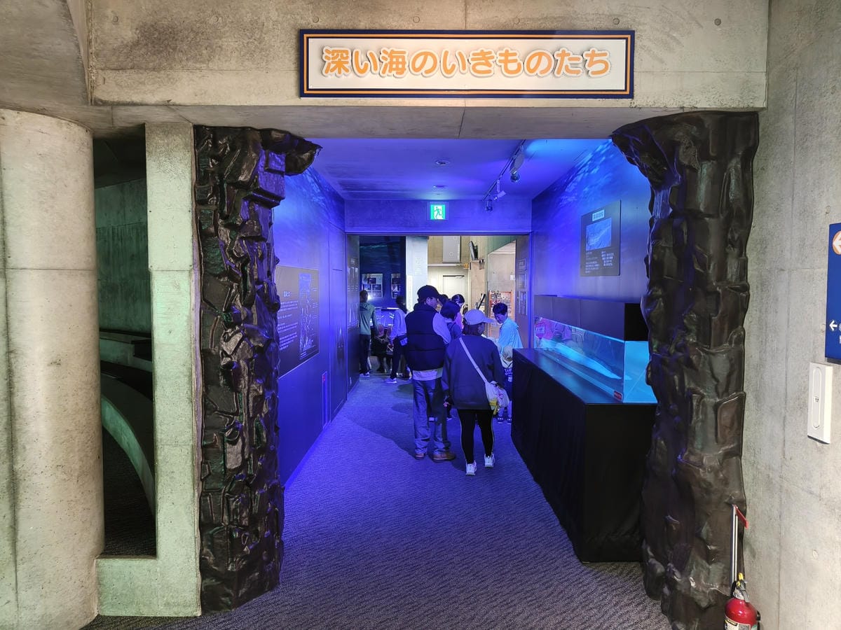 (大分旅遊)大分海洋宮殿水族館 海之卵,和動物們成為好朋友為 (大分旅遊)大分海洋宮殿水族館 海之卵,和動物們成為好朋友為