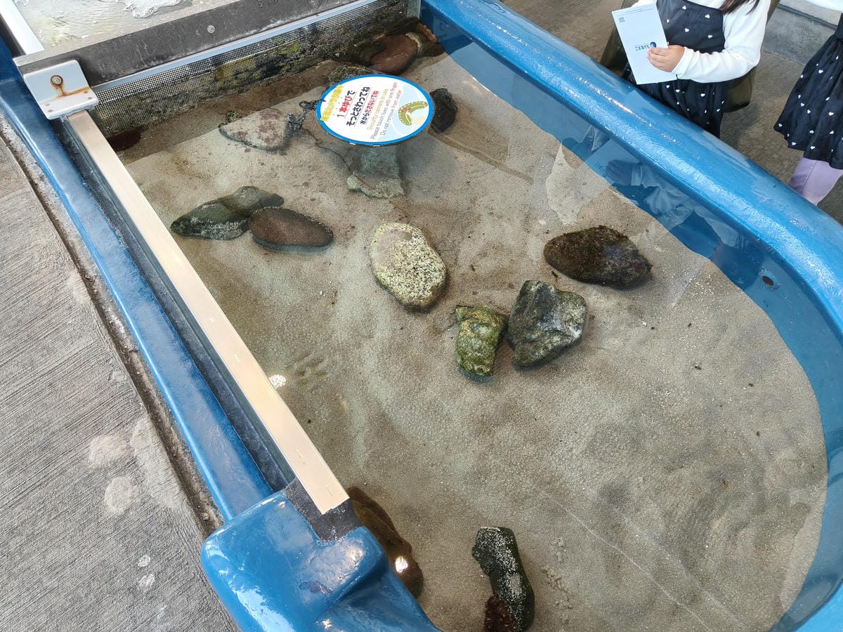 (大分旅遊)大分海洋宮殿水族館 海之卵,和動物們成為好朋友為 (大分旅遊)大分海洋宮殿水族館 海之卵,和動物們成為好朋友為
