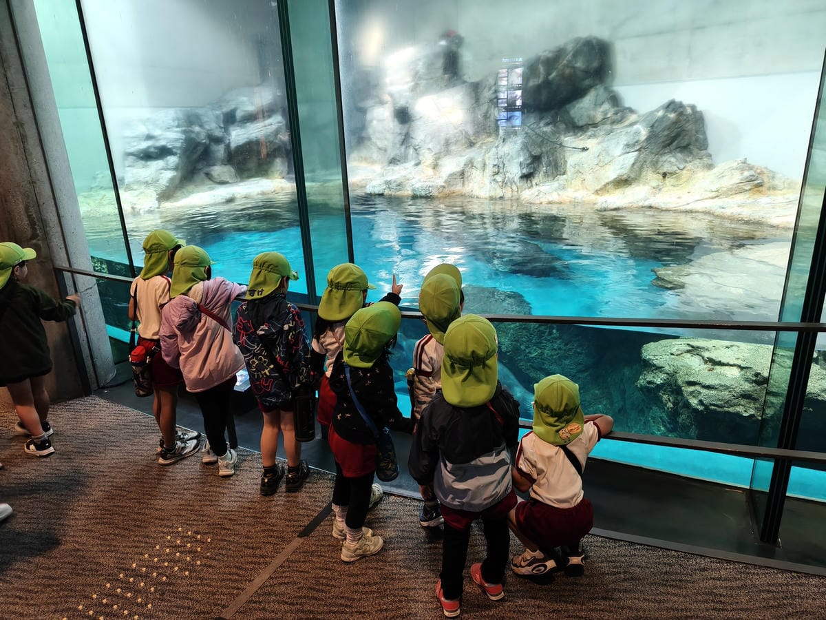 (大分旅遊)大分海洋宮殿水族館 海之卵,和動物們成為好朋友為 (大分旅遊)大分海洋宮殿水族館 海之卵,和動物們成為好朋友為