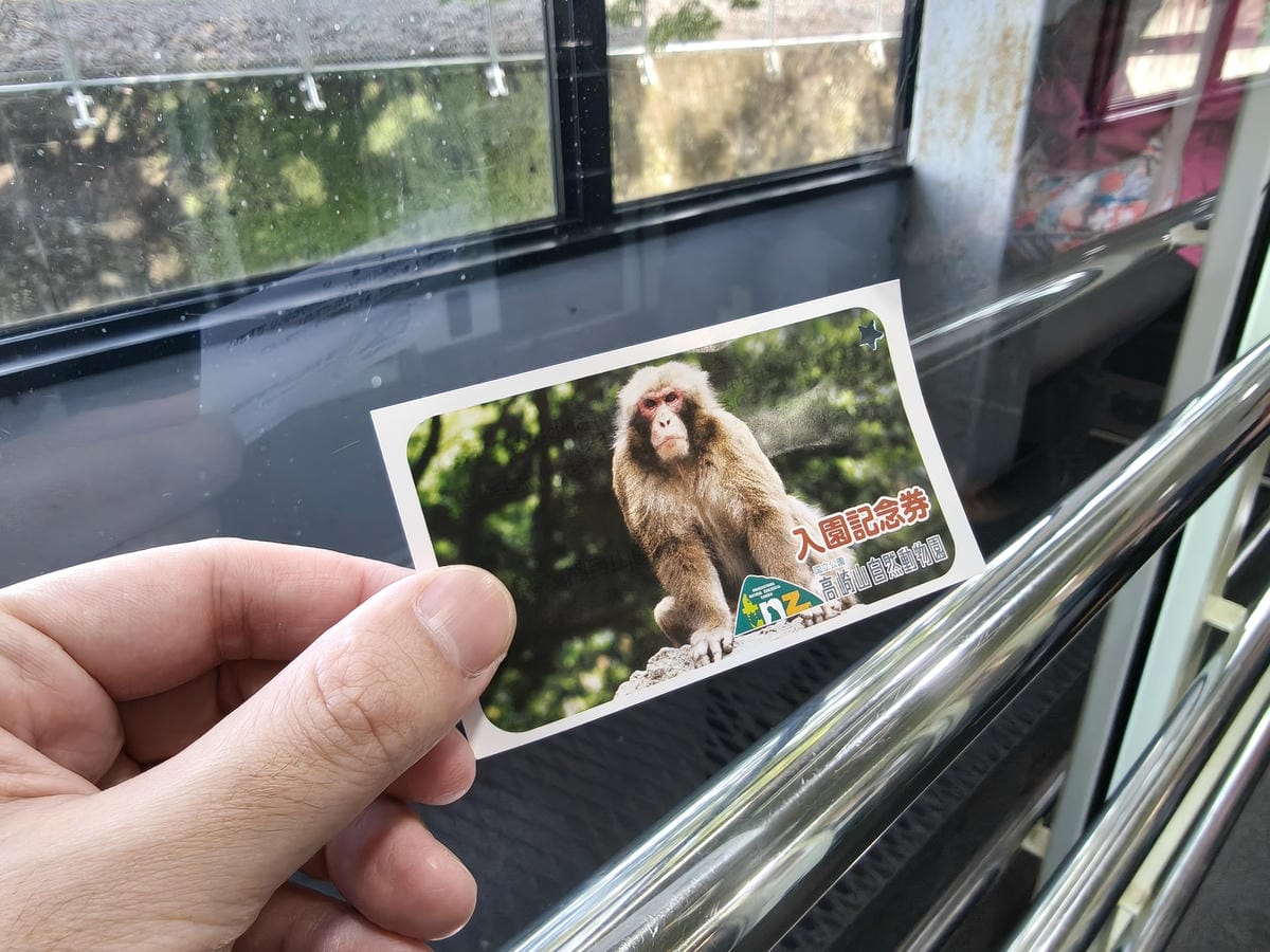 (大分旅遊)高崎山自然動物園,八百多隻的猴子就在你身旁, (大分旅遊)高崎山自然動物園,八百多隻的猴子就在你身旁,
