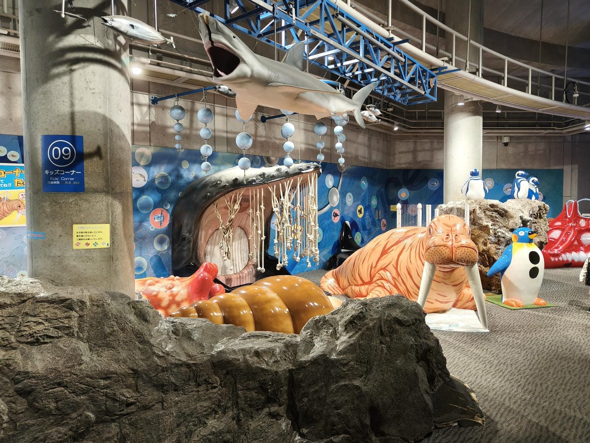 (大分旅遊)大分海洋宮殿水族館 海之卵,和動物們成為好朋友為 (大分旅遊)大分海洋宮殿水族館 海之卵,和動物們成為好朋友為