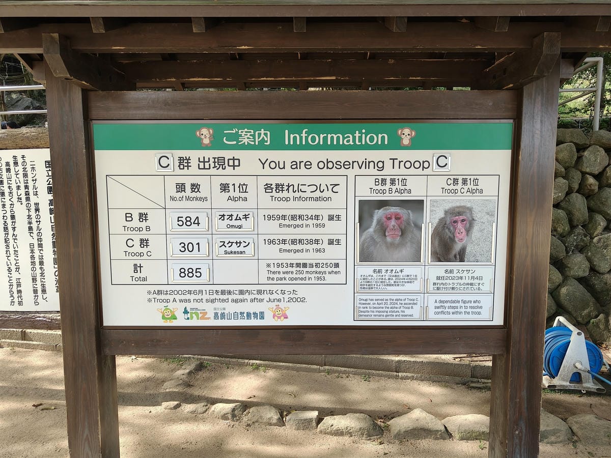(大分旅遊)高崎山自然動物園,八百多隻的猴子就在你身旁, (大分旅遊)高崎山自然動物園,八百多隻的猴子就在你身旁,