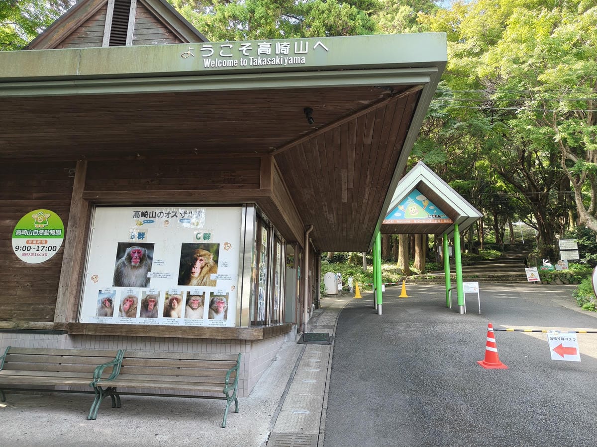 (大分旅遊)高崎山自然動物園,八百多隻的猴子就在你身旁, (大分旅遊)高崎山自然動物園,八百多隻的猴子就在你身旁,