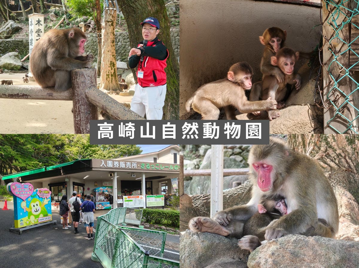 (大分別府懶人包)別府自由行景點懶人包｜免自駕也能輕鬆玩！精